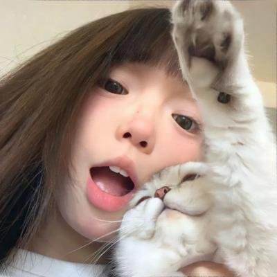 兽娘动物园